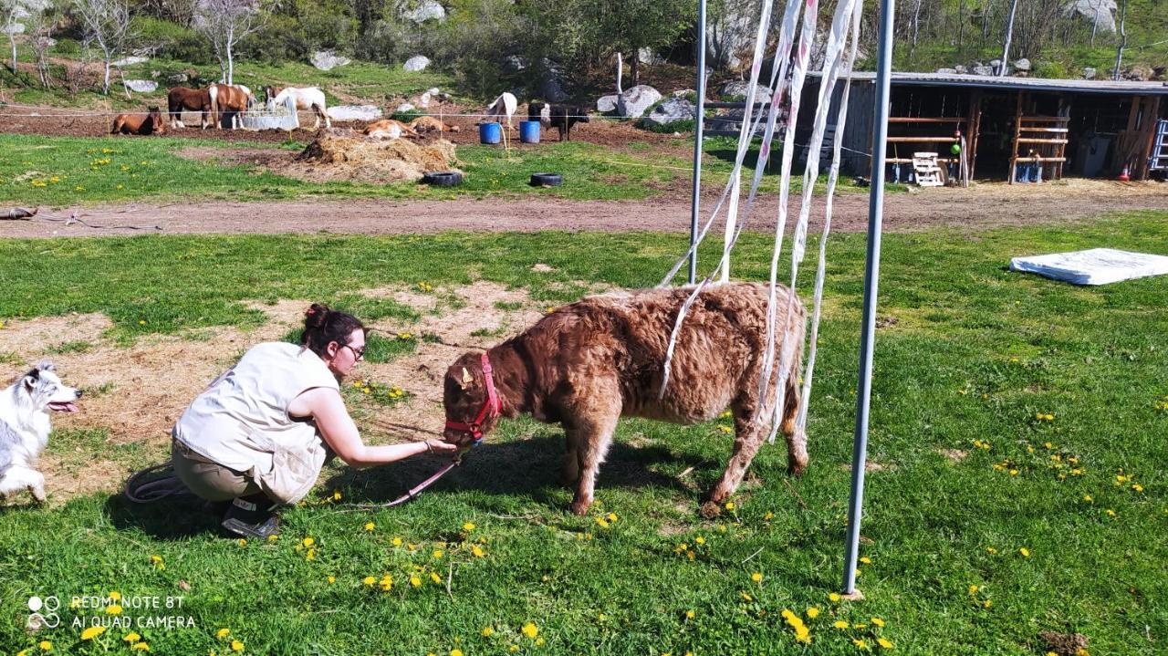 Ferme Can Llull Enveitg Exteriör bild