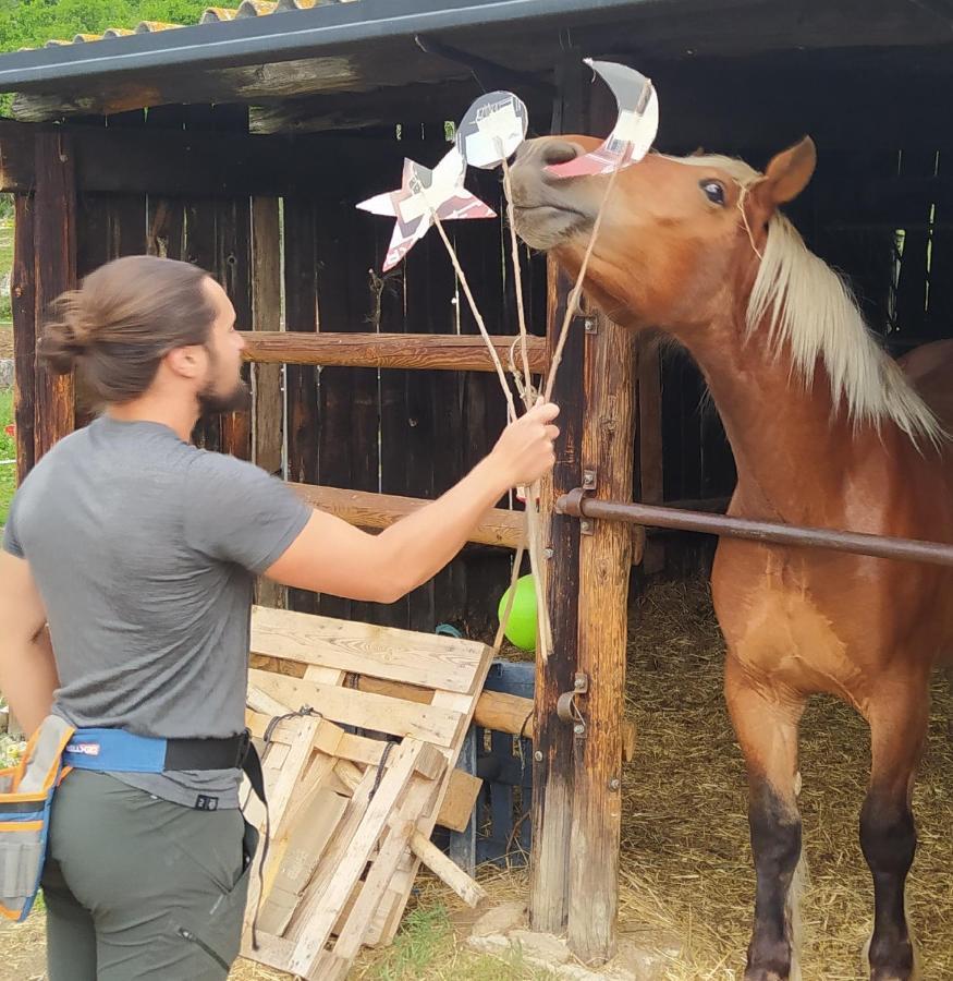 Ferme Can Llull Enveitg Exteriör bild
